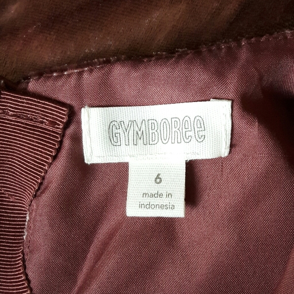 Gymboree Holiday Velvet Dress - Picture 7 of 7
